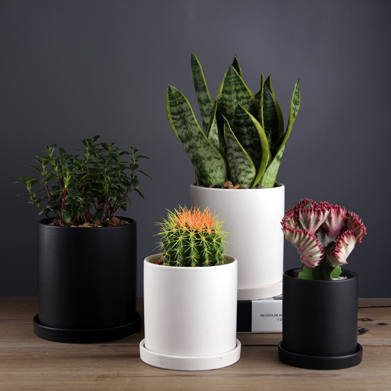 2006instagram large matte straight tube green plant ceramic flowerpot