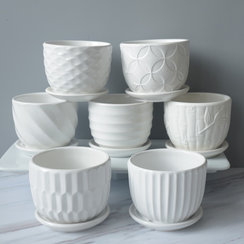 2029 Succulent plant white porcelain striped flowerpot